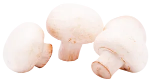 Fresh White Button Mushrooms PNG image