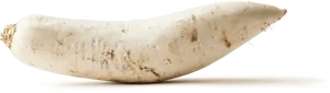 Fresh White Daikon Radish PNG