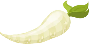 Fresh White Radish Illustration.png PNG image