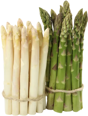 Fresh Whiteand Green Asparagus Bundle PNG