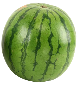 Fresh Whole Watermelon PNG image