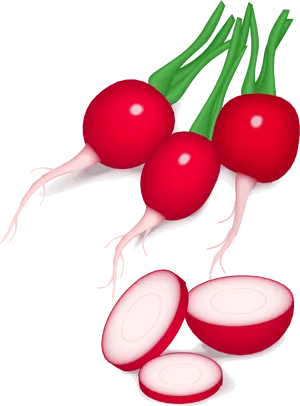 Fresh Wholeand Sliced Radishes PNG image