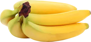 Fresh Yellow Bananas Cluster