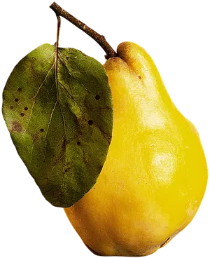 Fresh Yellow Guava Fruit PNG image