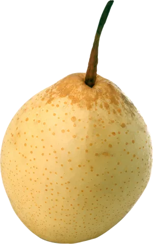 Fresh Yellow Pear Single Isolated PNG image
