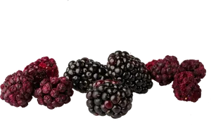 Freshand Dried Blackberries PNG image