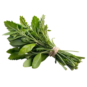 Freshly Cut Herb PNG 06272024