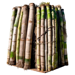 Freshly Cut Sugarcane Load Png 91 PNG image