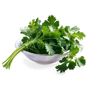 Freshly Picked Cilantro Png Ubx PNG image