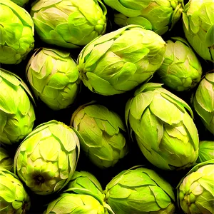 Freshly Picked Hops PNG Vff3 PNG