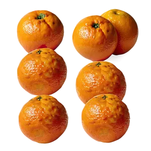 Freshly Picked Organic Oranges PNG Mmw