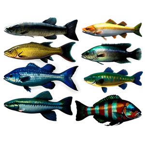 Freshwater Fish Set Png 27 PNG image