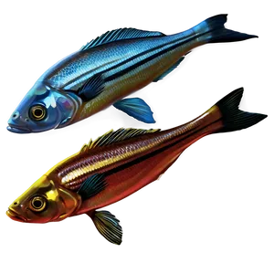 Freshwater Fish Set Png 53 PNG image