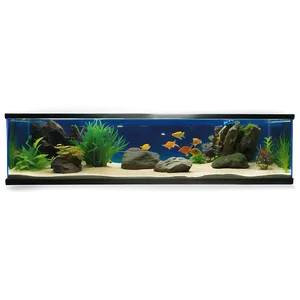 Freshwater Fish Tank PNG Okk82 PNG