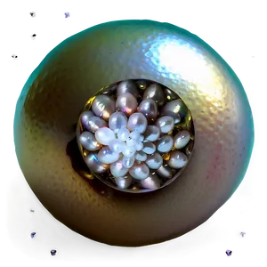 Freshwater Pearl Png Rdq PNG image