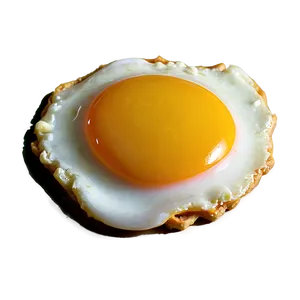 Fried Egg PNG 05042024