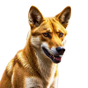 Friendly Dingo Cartoon PNG Gdq35 PNG