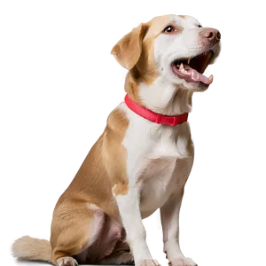 Friendly Dog Barking Png 06272024 PNG image