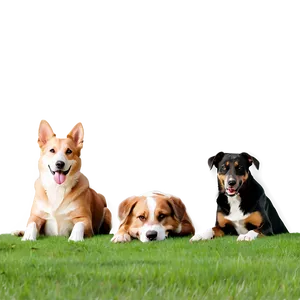 Friendly Dogs PNG 05242024