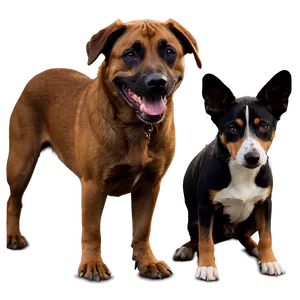 Friendly Dogs PNG Bpx96