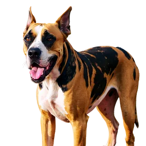 Friendly Great Dane PNG 41