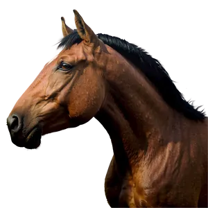 Friendly Horse Cartoon Png Oiv PNG image