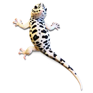 Friendly Leopard Gecko Png 06202024 PNG image