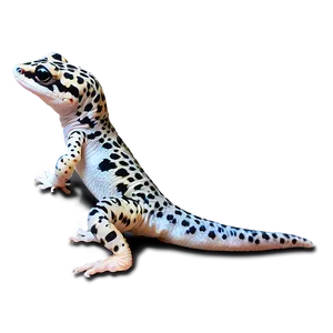 Friendly Leopard Gecko Png Akg PNG image