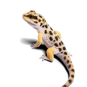 Friendly Leopard Gecko PNG Njv