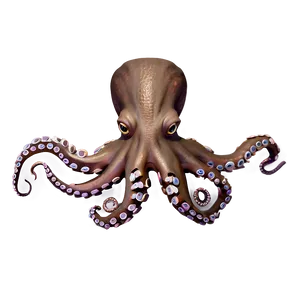 Friendly Octopus PNG 05062024 PNG