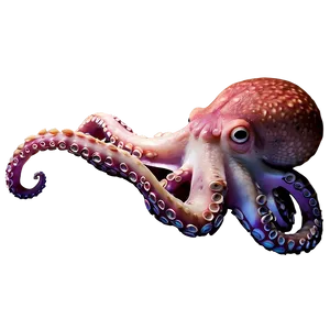 Friendly Octopus PNG Pul