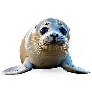 Friendly Seal Png 05242024 PNG image