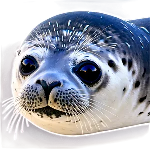 Friendly Seal Png Eol PNG image