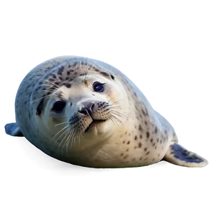 Friendly Seal PNG Eov18