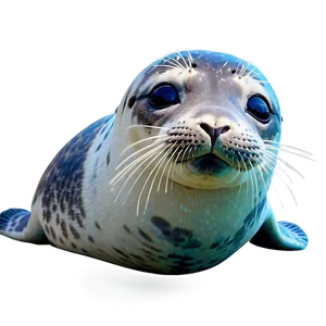 Friendly Seal PNG Ide92
