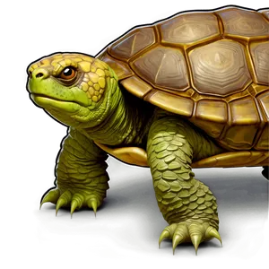 Friendly Snapping Turtle Cartoon PNG Fcc6 PNG