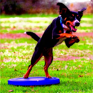 Frisbee Dog Competition Png 05232024 PNG image