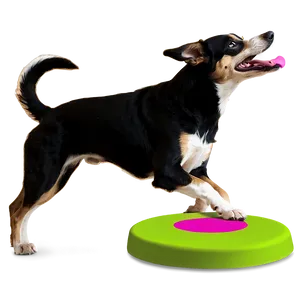 Frisbee Dog Competition Png Ana PNG image