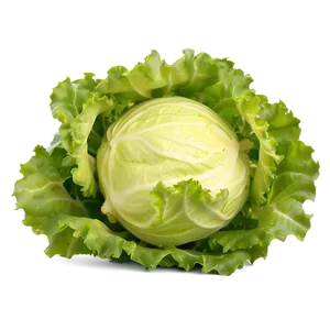 Frisee Lettuce Png 05242024 PNG image