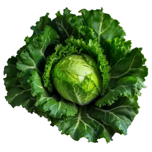 Frisee Lettuce Png 33 PNG image