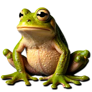 Frog And Toad Clipart PNG 06262024