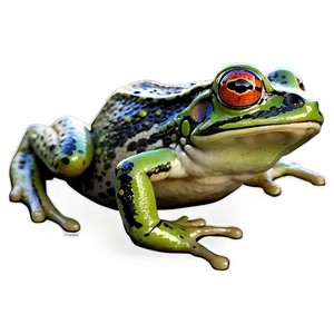 Frog C PNG image