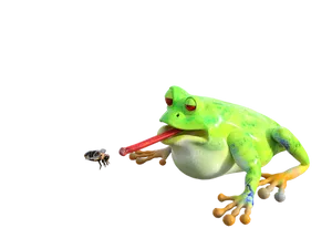 Frog Catching Bee