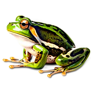 Frog Clipart Png 06262024 PNG image