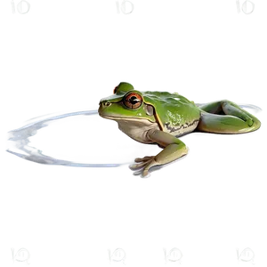 Frog In Pond Scenery PNG 2