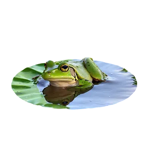 Frog In Pond Scenery PNG Epa28
