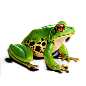 Frog Outline Clipart PNG 06262024