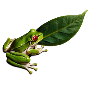Frog Under Leaf PNG 55
