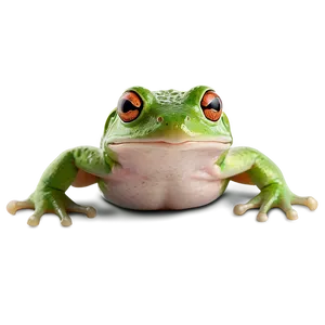 Frolicsome Frog Leaping Png 05062024 PNG image