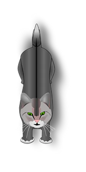 Front Facing Gray Cat Illustration